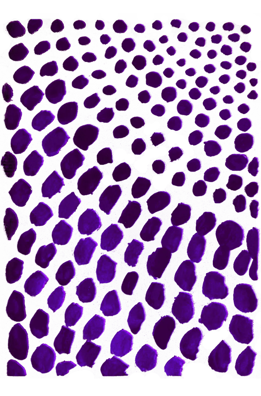 Cazuhê artisanal textile illustration — purple dot pattern