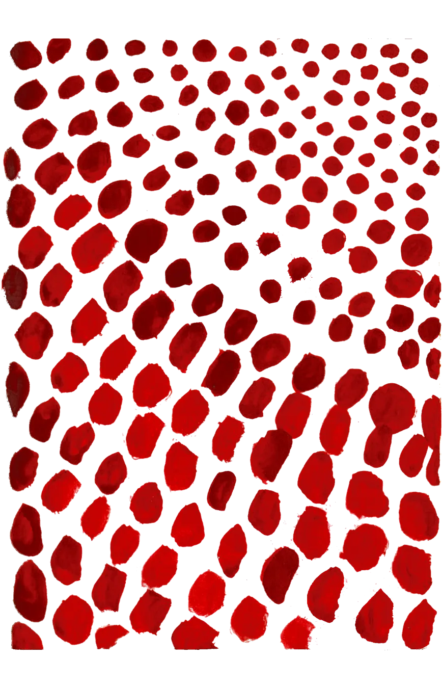 Cazuhê artisanal textile illustration — red dot pattern