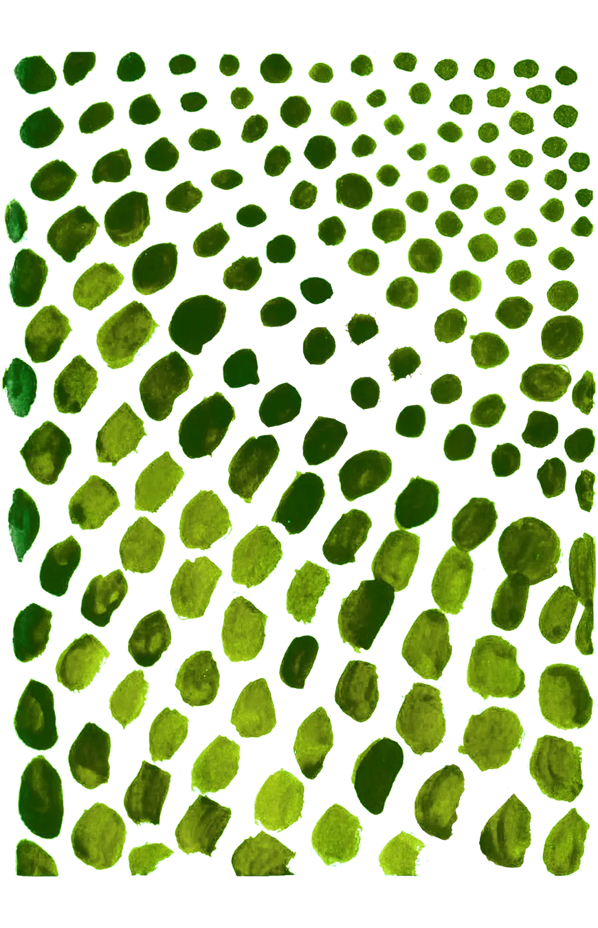 Cazuhê artisanal textile illustration — green dot pattern